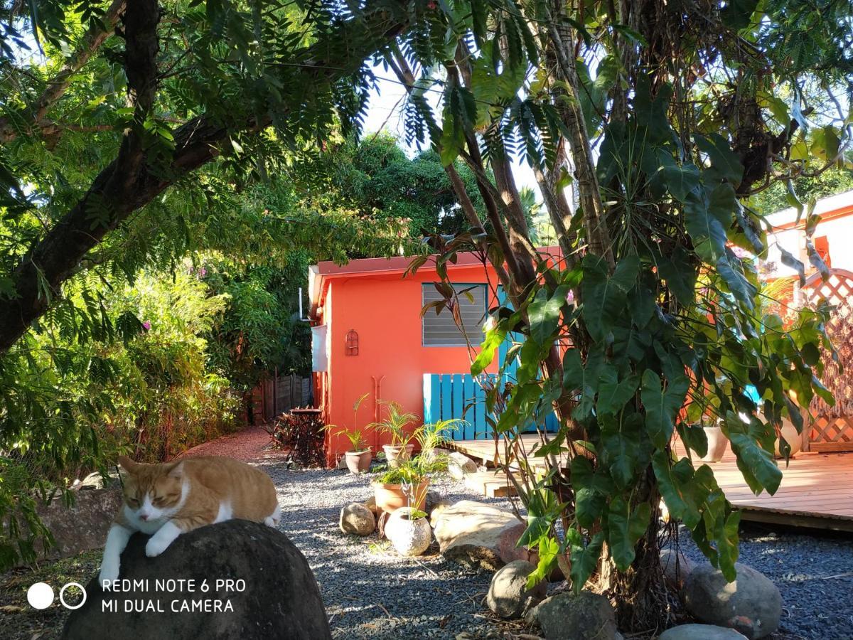 Les Manguiers Villa Deshaies Exterior photo