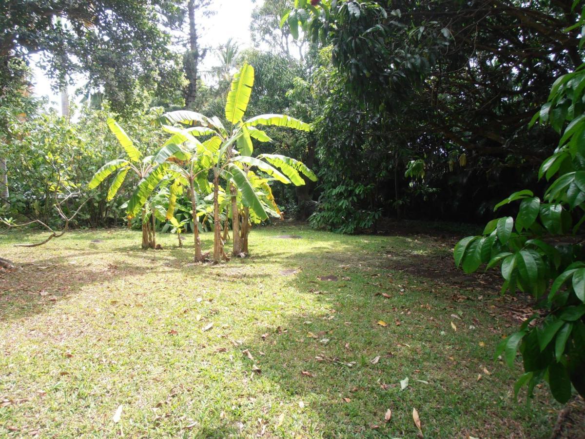 Les Manguiers Villa Deshaies Exterior photo